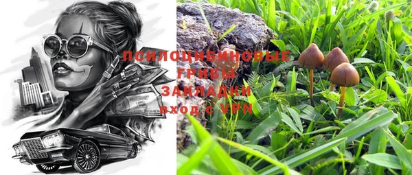 стафф Белокуриха