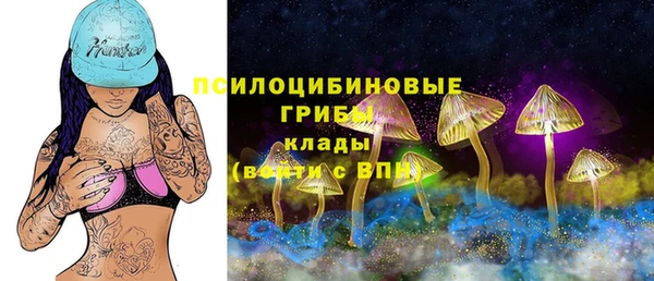 гидра Беломорск