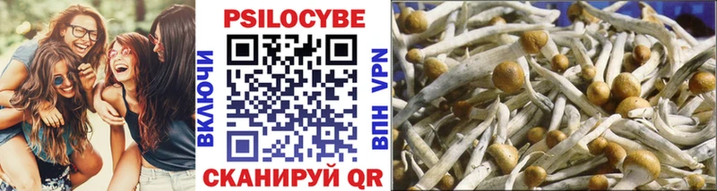 Галлюциногенные грибы GOLDEN TEACHER Дигора