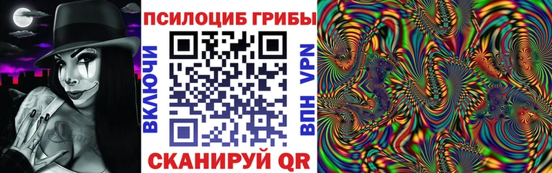 где купить   Дигора  Галлюциногенные грибы прущие грибы 
